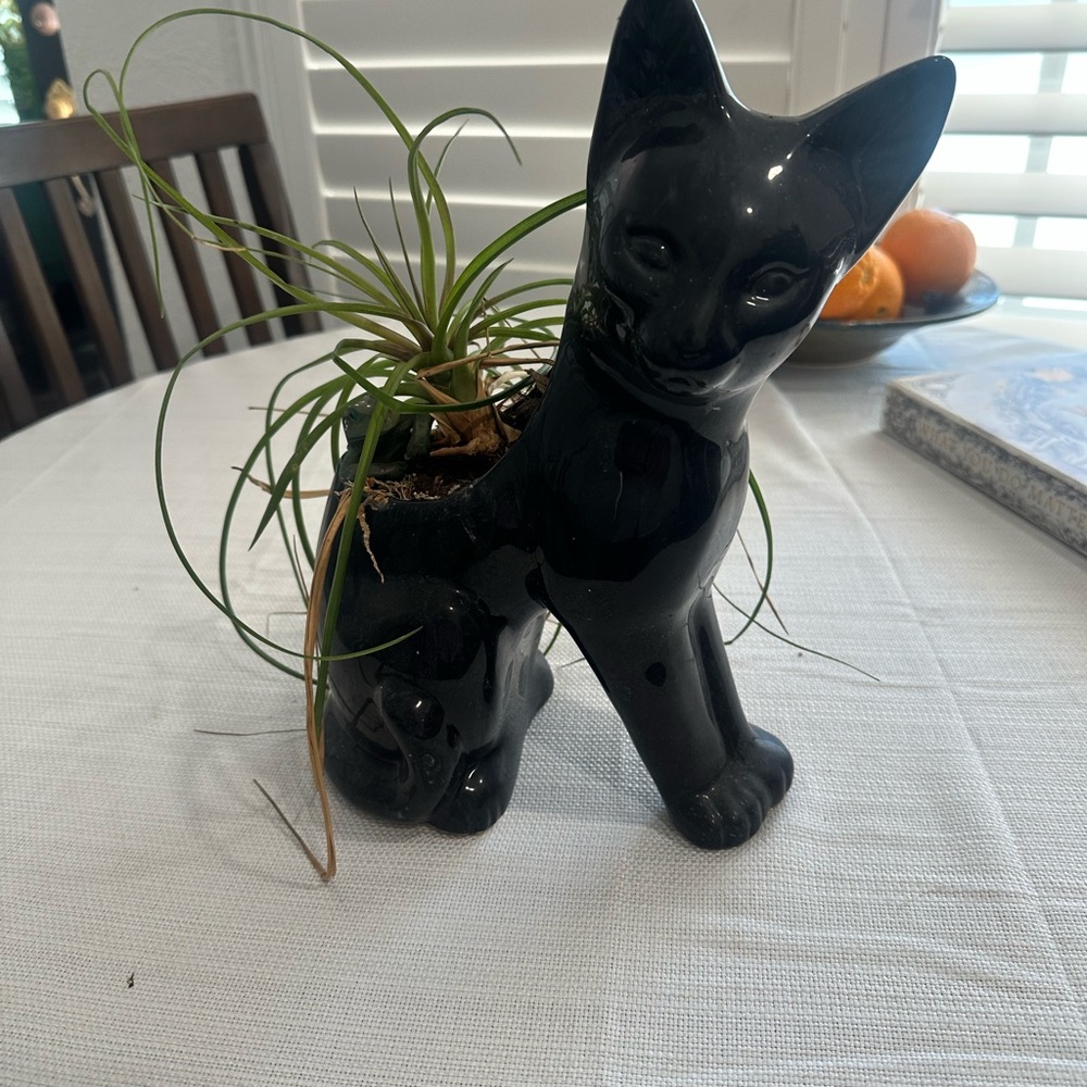 Black Cat Ceramic Planter